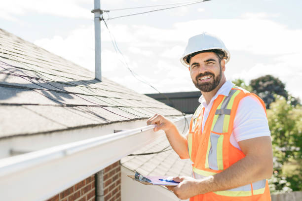 Best Roof Gutter Cleaning  in Portales, NM