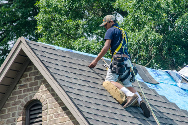 Best New Roof Installation  in Portales, NM